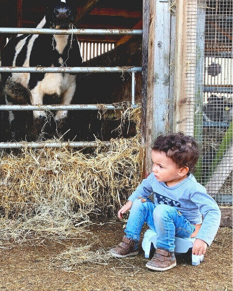 Lifestyle image on hover