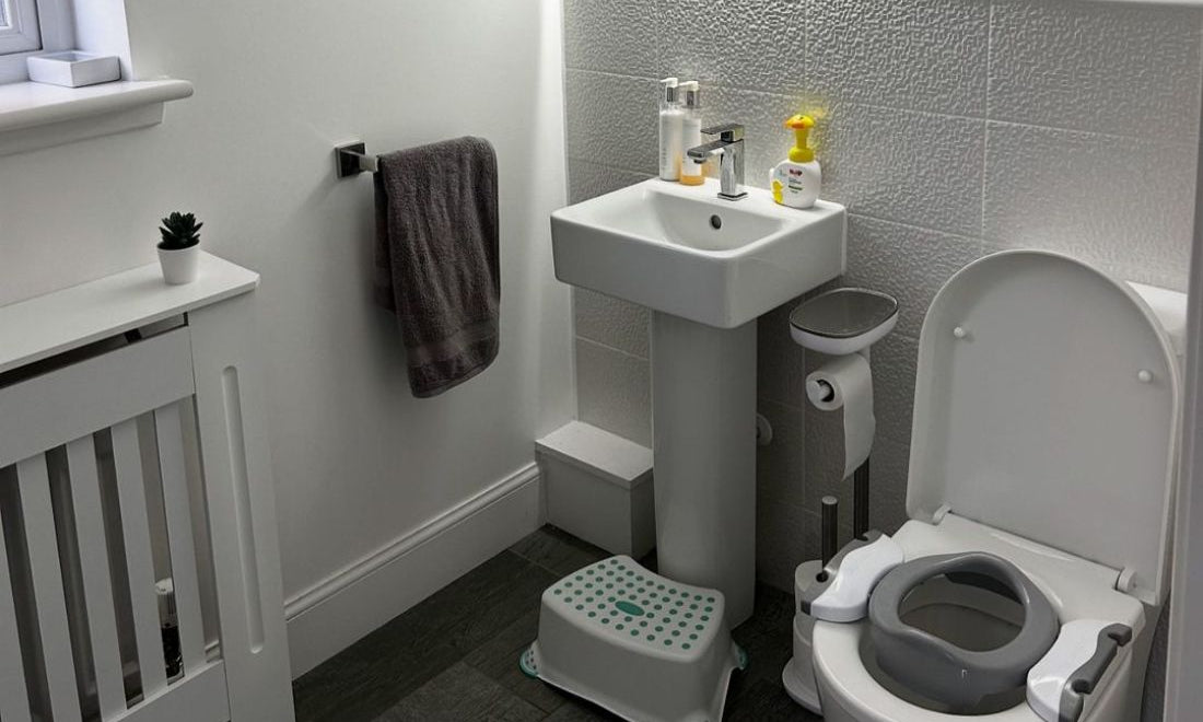 Potette 2 in 1 on a toilet